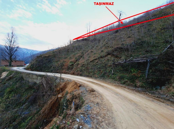 ARTVİN BORÇKA'DA 2.094 M2 SATILIK FINDIK BAHÇESİ